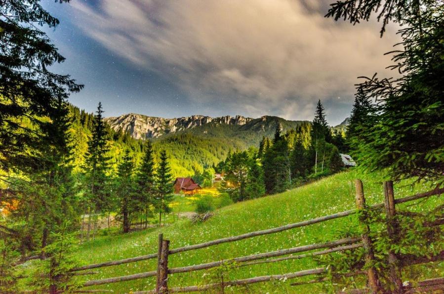 Pension Harmonia М'єркуря-Чук Екстер'єр фото